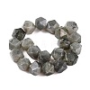 Natural Labradorite Beads Strands G-T138-37-2