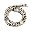Natural Dalmatian Jasper Beads Strands G-M403-A31-02-3