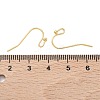 SHEGRACE Brass Earring Hooks XGR0138G-154G-3