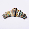 Rectangle Natural Abalone Shell/Paua ShellGraduated Beads Strands SSHEL-P002-05-3