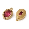 Ion Plating(IP) 304 Stainless Steel Micro Pave Cubic Zirconia Charms STAS-K256-19G-04-2