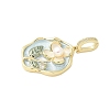 Brass Enamel Pendants LS-KK-F886-03G-03-2