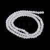 Transparent Glass Beads Strands EGLA-A044-T2mm-MB19-4