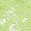 Baking Paint Glass Seed Beads SEED-A033-05S-3