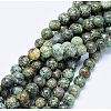 Natural African Turquoise(Jasper) Beads Strands LS-G-D840-90-10mm-4