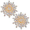 2Pcs Flower Alloy Brooches JEWB-FG0001-31B-1