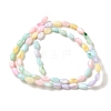 Rainbow Color Dyed Natural Freshwater Shell Beads Strands X1-SHEL-G018-02H-2