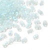 Glass Frosted Seed Beads SEED-NH0002-01D-2
