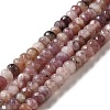 Natural Lepidolite/Purple Mica Stone Beads Strands G-E444-55-1
