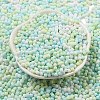 Macaron Color Opaque Frosted Glass Seed Beads X1-SEED-K009-12B-03-2