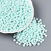 Opaque Glass Seed Beads SEED-N012-09A-06-1