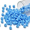 TOHO 3/0 Round Beads SEED-TR03-0043-1