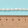 Electroplate Shell Pearl Beads Strands BSHE-G010-4x6mm-01-5