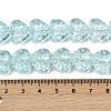 Transparent Glass Beads Strands GLAA-H038-01G-4