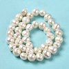 Natural Cultured Freshwater Pearl Beads Strands PEAR-E017-17-3