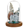 Arch Glass Dome Cover AJEW-WH0596-866A-01-1