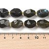 Natural Labradorite Beads Strands G-P541-A01-08-4