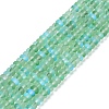 Frosted Transparent Glass Beads Strands FGLA-M002-01F-1