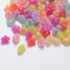 Imitation Jelly Acrylic Beads X-JACR-Q056-09-1