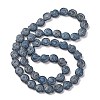 Electroplate Glass Beads Strands EGLA-F164-FR06-2