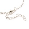 Rack Plating Alloy Heart Pendant Necklaces Sets NJEW-B081-08C-6