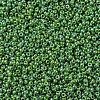 MIYUKI Round Rocailles Beads X-SEED-G007-RR0480-3