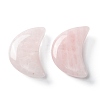 Natural Rose Quartz Beads G-I312-A01-2