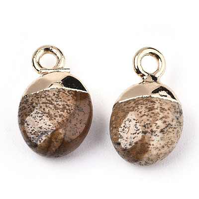 Natural Picture Jasper Charms G-N326-58D-1