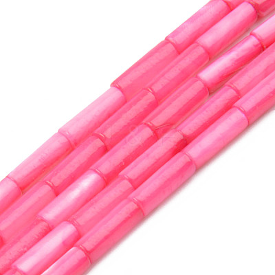 Natural Freshwater Shell Beads Strand SHEL-T017-40B-1