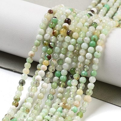 Natural Serpentine Beads Strands G-G161-D24-01-1