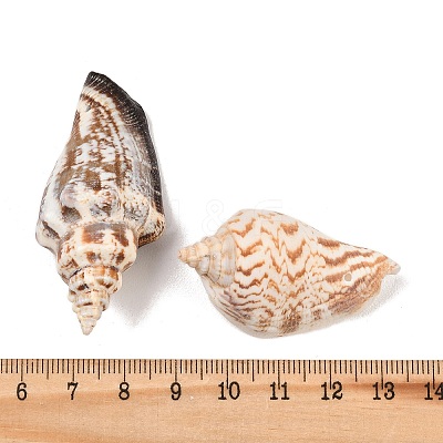 Natural Conch Shell Beads BSHE-O007-57-1