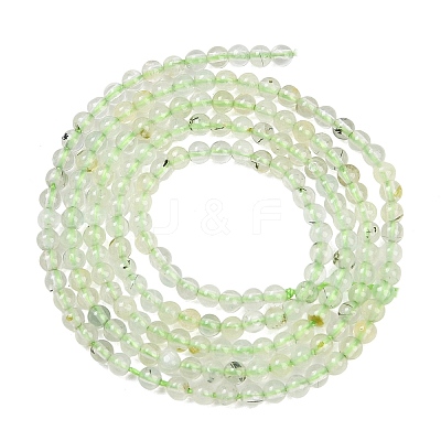 Natural Prehnite Beads Strands G-C255-B03-2mm-1