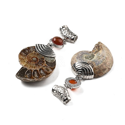 Natural Carnelian Fossil Snail Pendants G-F062-15-1