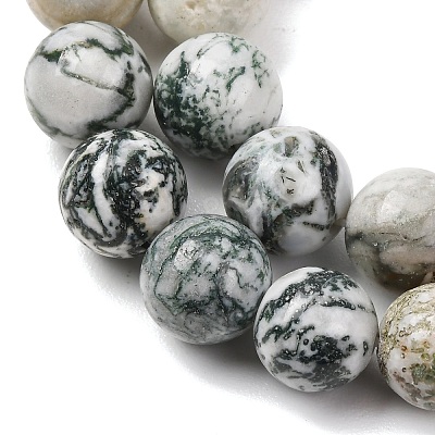 Natural Tree Agate Beads Strands G-T150-A09-12mm-1