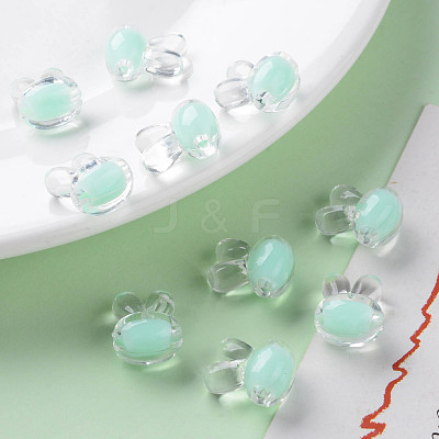 Transparent Acrylic Beads TACR-S152-05A-SS2111-1