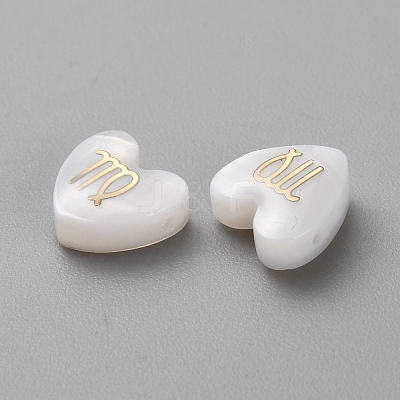 5Pcs Natural White Shell Beads BSHE-TAC0004-02H-1