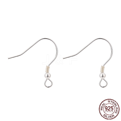 925 Sterling Silver Earring Hooks LS-STER-T002-166S-1