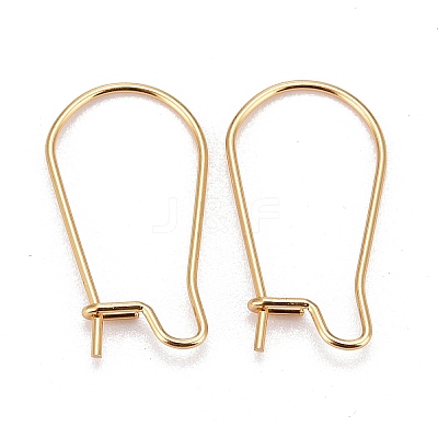 316 Surgical Stainless Steel Hoop Earring Findings X-STAS-A056-12G-C-1