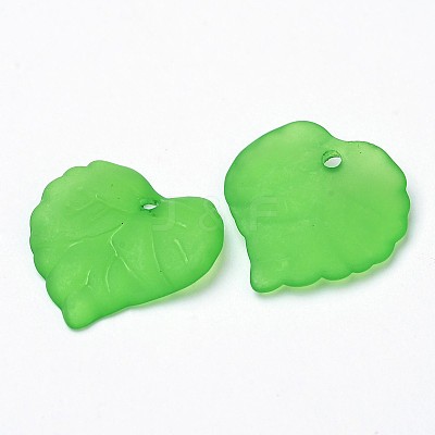 Transparent Acrylic Pendants PL591-6-1