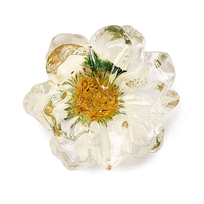 Transparent Resin Cabochons RE-CBA7537-01A-1