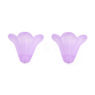 Frosted Acrylic Beads PL692-5-1