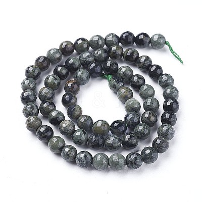 Natural Kambaba Jasper Beads Strands G-P430-11-B-1