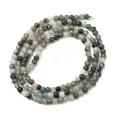 Natural Emerald Beads Strands G-H358-A05-3mm-01-1