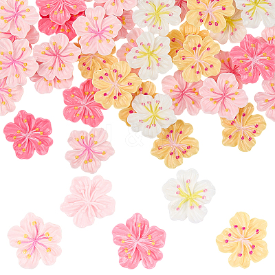 50Pcs 5 Colors Resin Cabochons OACR-SC0002-76-1