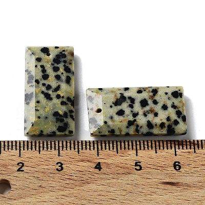 Natural Dalmatian Jasper Pendants G-G063-01E-1