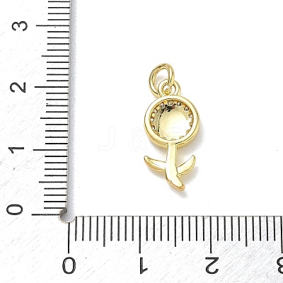 Brass with Rhinestone Pendants KK-CBAD872-01G-05-1
