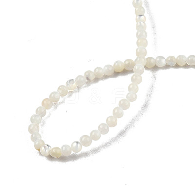 Natural White Shell Bead Strands SSHEL-N003-144A-01-1