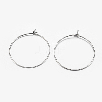 316 Surgical Stainless Steel Hoop Earrings Findings STAS-I097-050A-1
