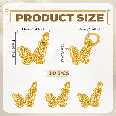 10Pcs Alloy Charms ENAM-LP0001-76-1