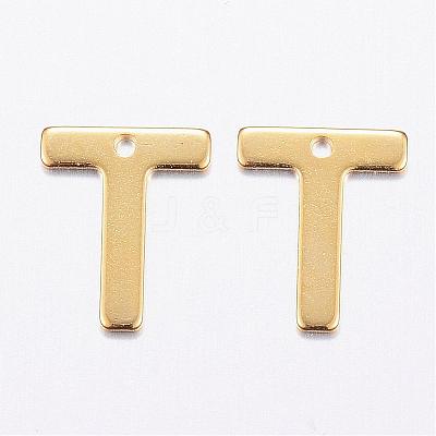 304 Stainless Steel Charms STAS-P141-T-1